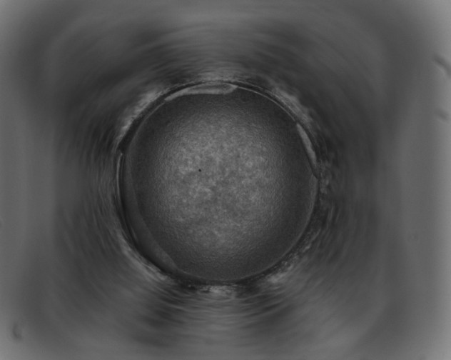 X0000093370060200710111444