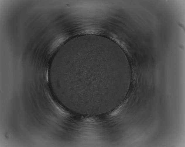 X0000093370062200710111444