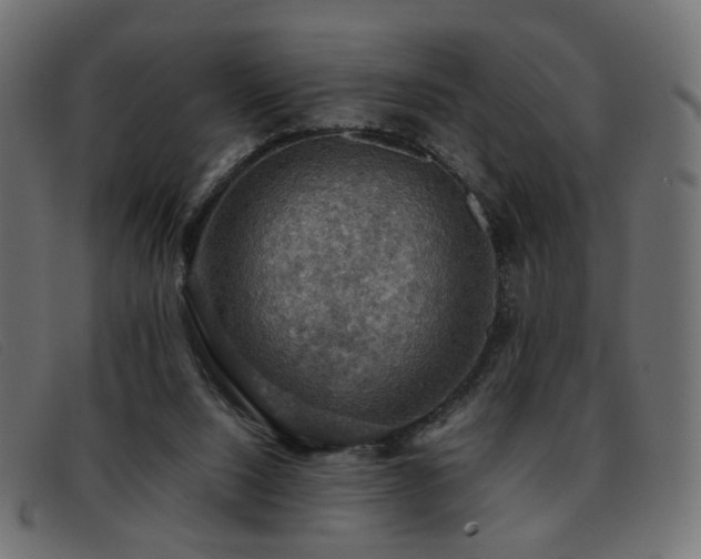 X0000093370064200710111444