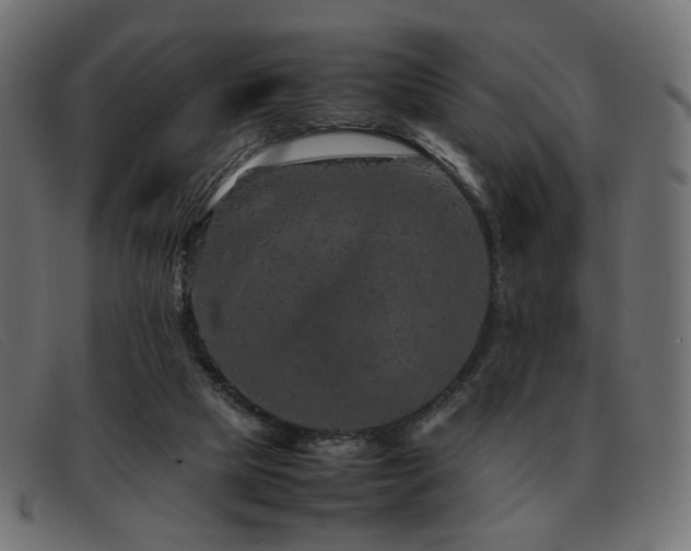 X0000093370065200710111444