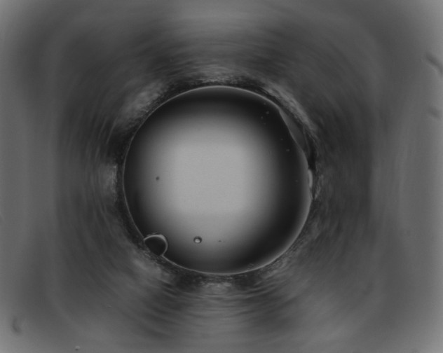 X0000093370066200710111444