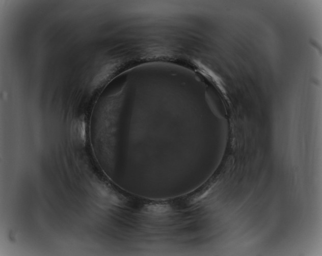 X0000093370067200710111444