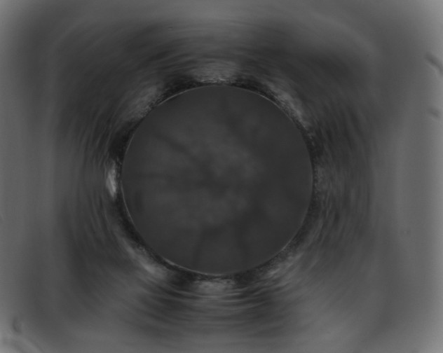 X0000093370069200710111444