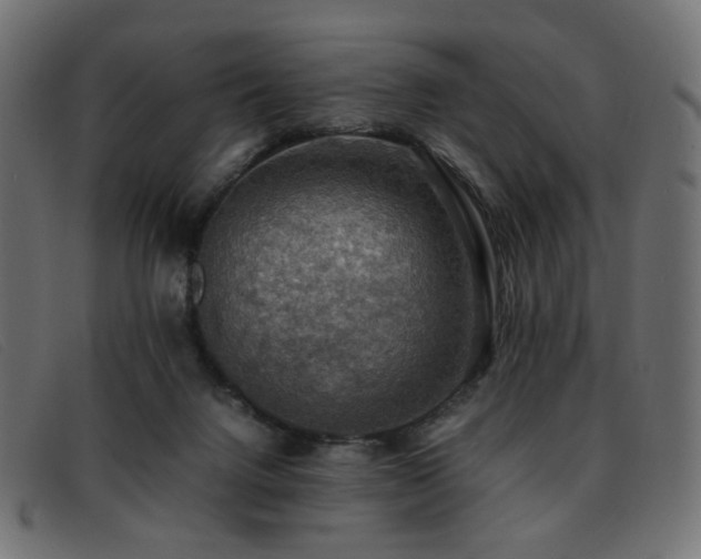 X0000093370072200710111444