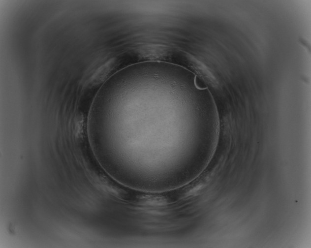 X0000093370073200710111444