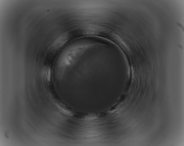 X0000093370076200710111444