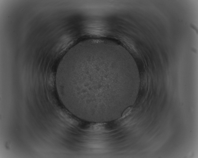 X0000093370078200710111444