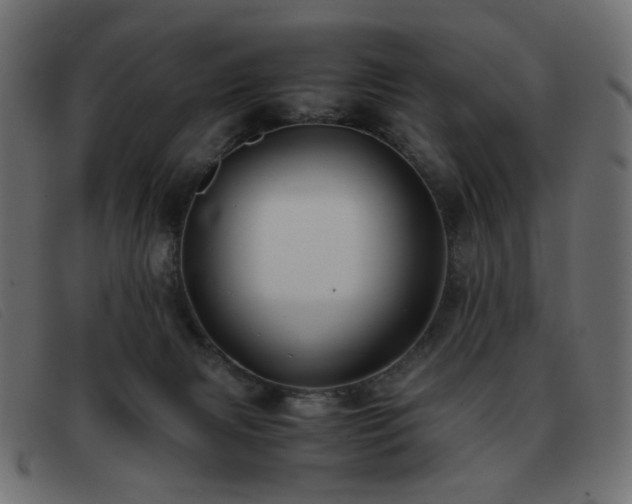 X0000093370079200710111444