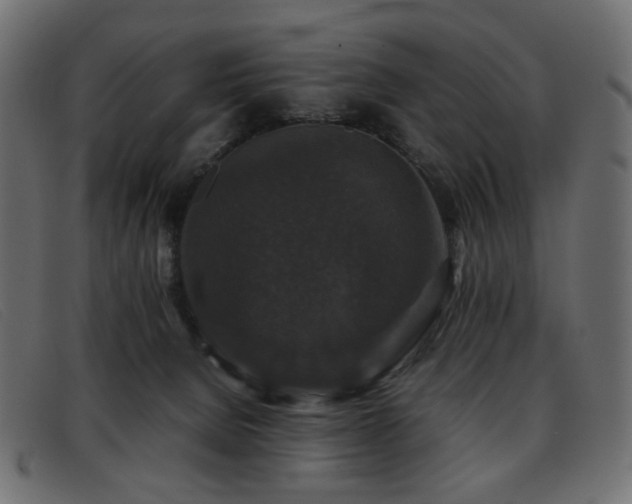 X0000093370080200710111444