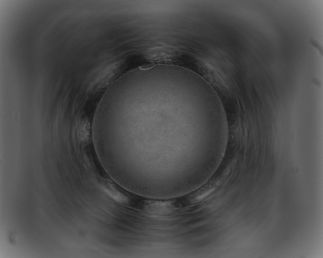 X0000093370081200710111444