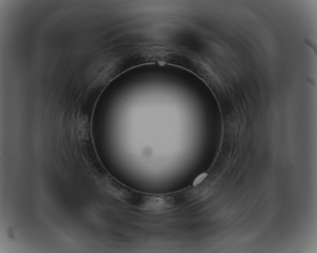 X0000093370083200710111444