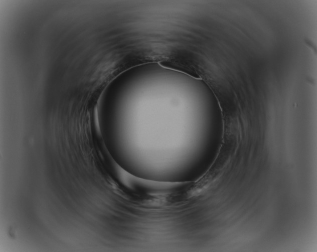 X0000093370084200710111444