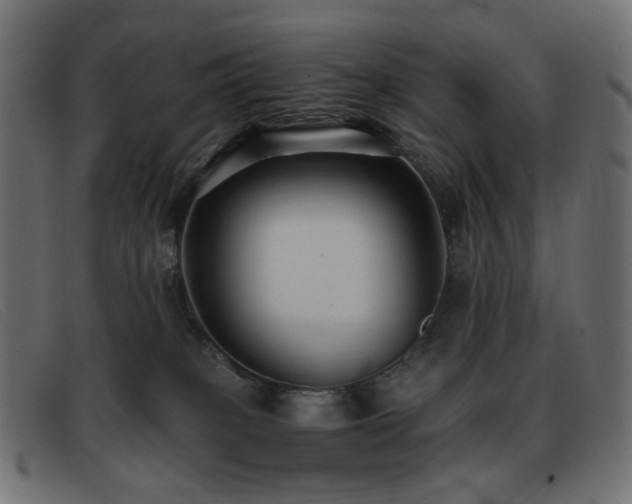 X0000093370085200710111444