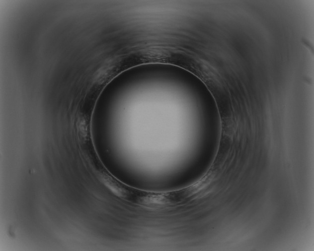 X0000093370086200710111444