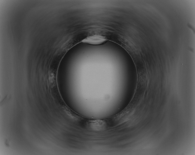 X0000093370087200710111444