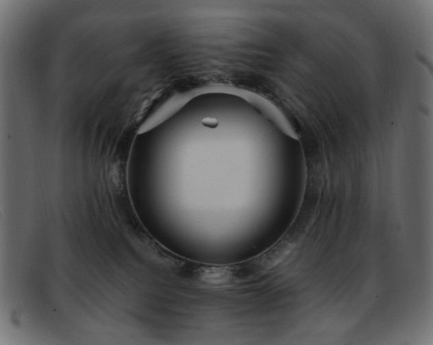 X0000093370088200710111444