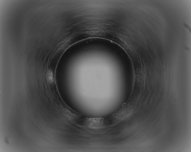 X0000093370089200710111444