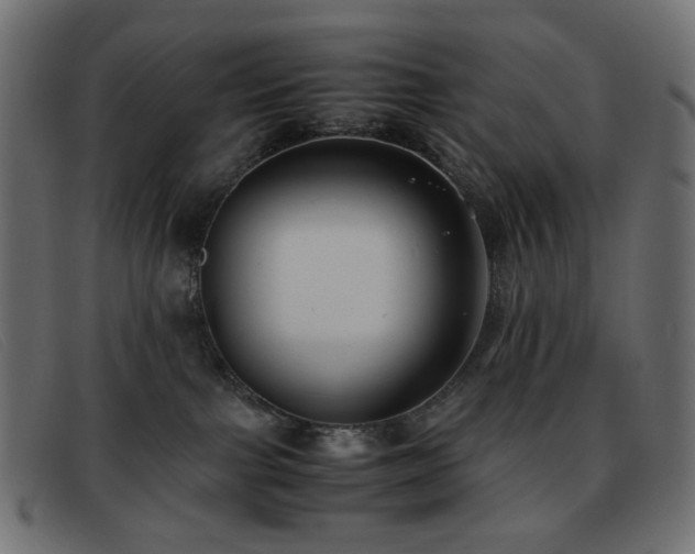 X0000093370091200710111444