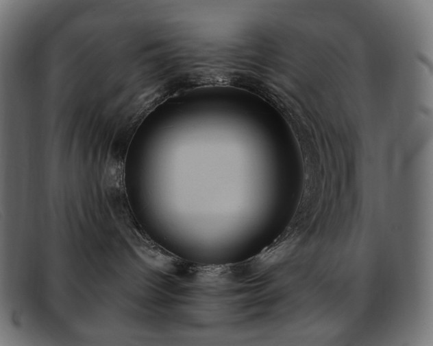 X0000093370096200710111444