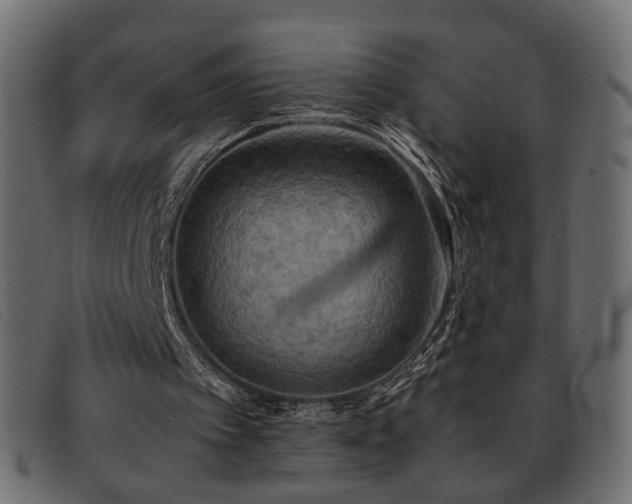 X0000093370097200710111444