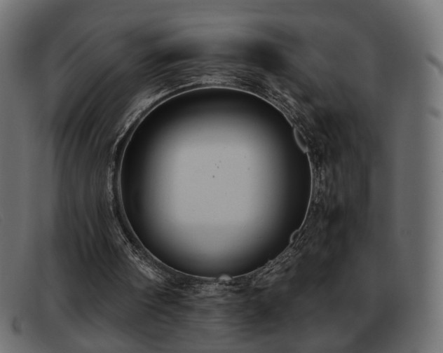 X0000093370098200710111444