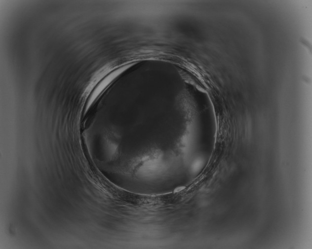 X0000093370099200710111444