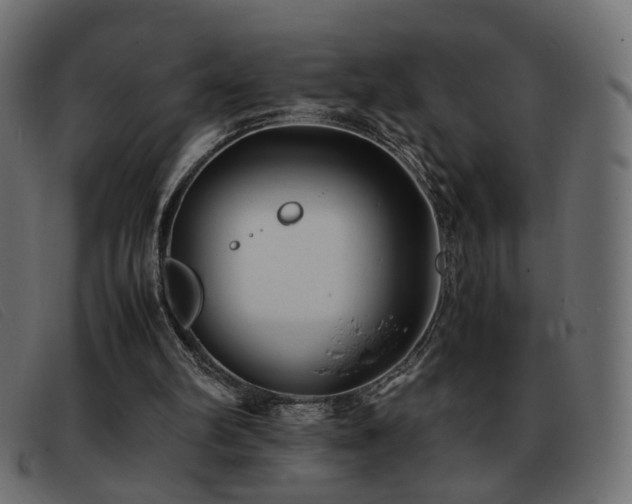 X0000093370102200710111444