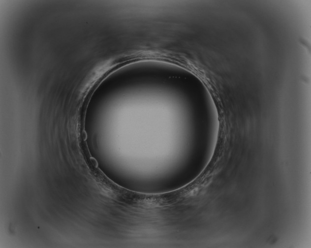 X0000093370103200710111444