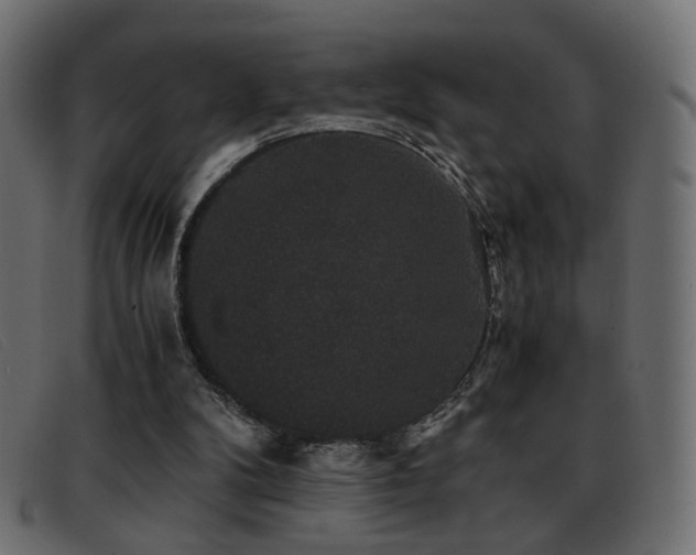 X0000093370104200710111444