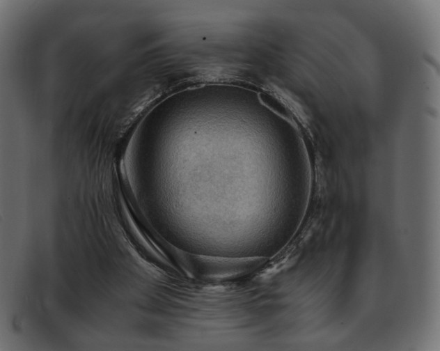 X0000093370105200710111444