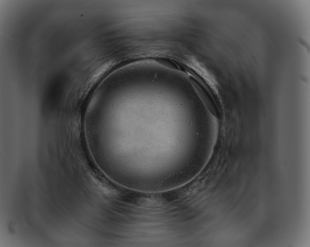 X0000093370107200710111444