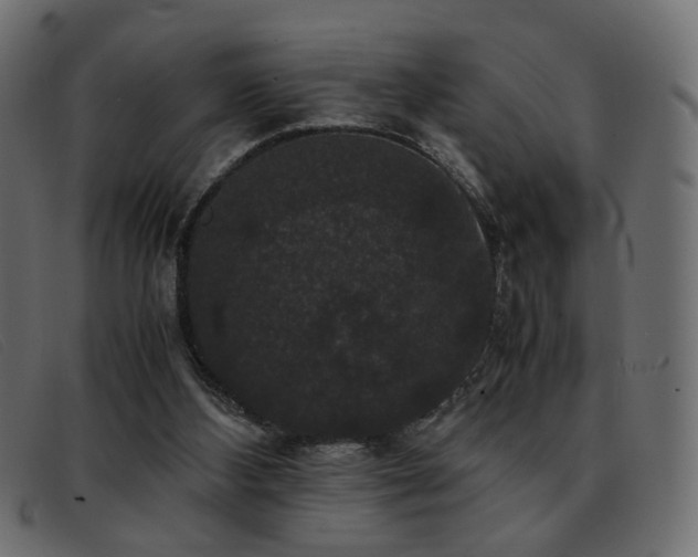 X0000093370108200710111443