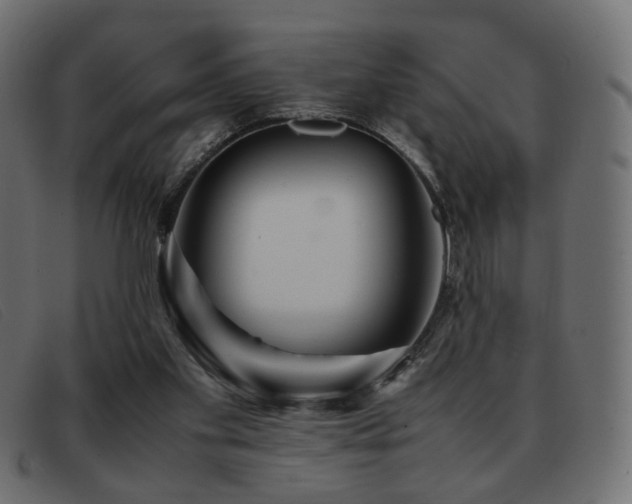 X0000093370109200710111443