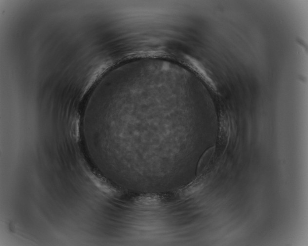 X0000093370110200710111443