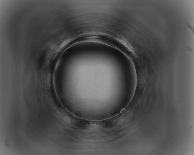 X0000093370111200710111443