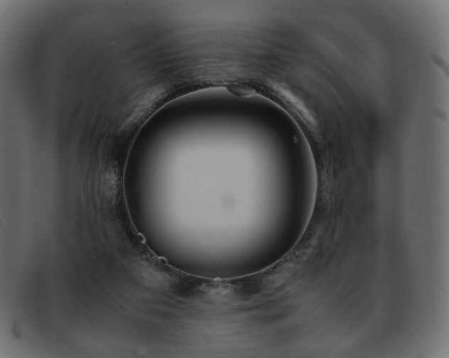 X0000093370113200710111443