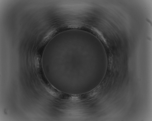 X0000093370114200710111443