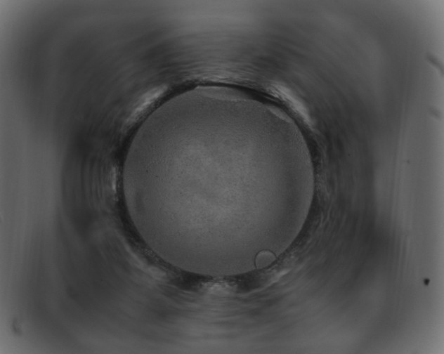 X0000093370115200710111443