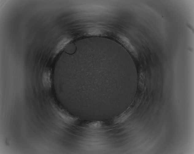 X0000093370116200710111443