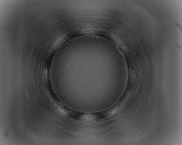 X0000093370117200710111443