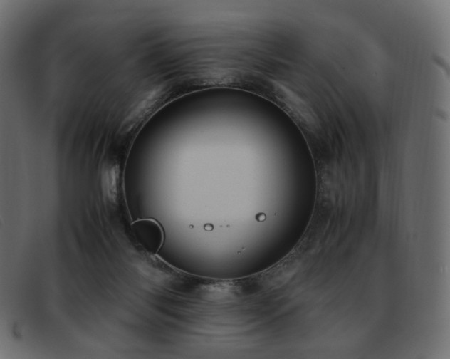 X0000093370118200710111443