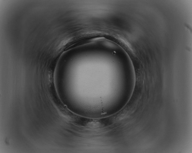 X0000093370119200710111443