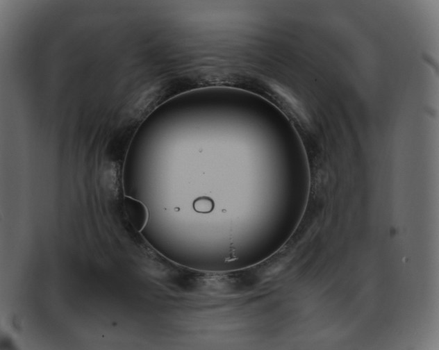 X0000093370121200710111443