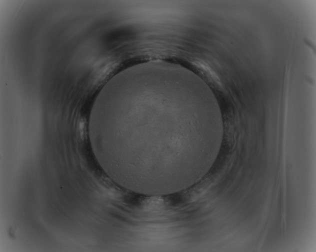 X0000093370123200710111443