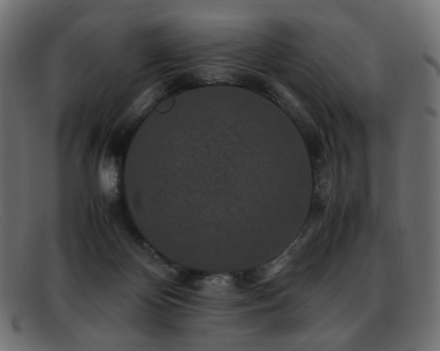 X0000093370124200710111443