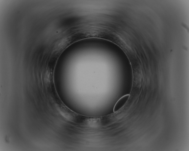 X0000093370126200710111443