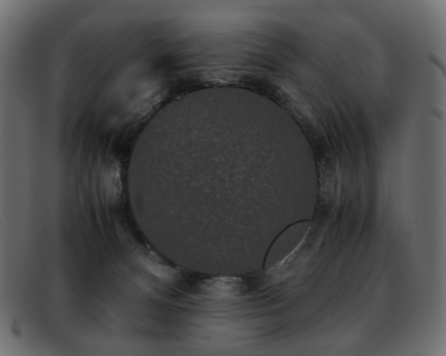 X0000093370128200710111443