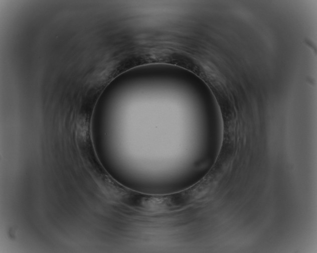 X0000093370129200710111443