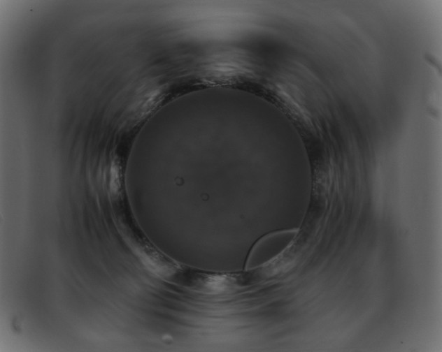 X0000093370130200710111443