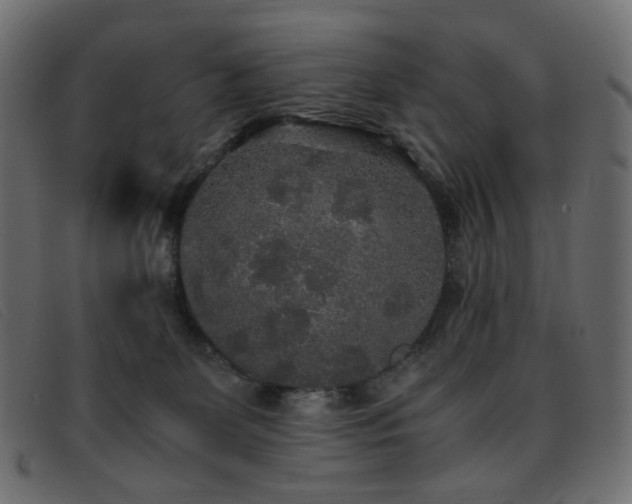 X0000093370131200710111443